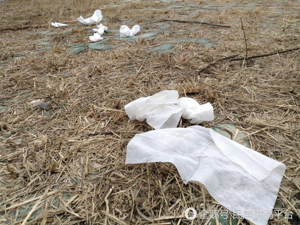 山东滨州:中海景区一公园卫生纸沾精液扔. 来自