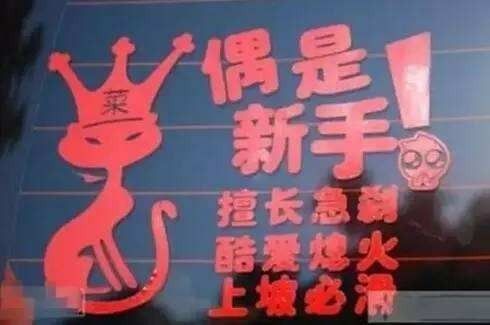 女司机车上标语太吓人了，方圆5米没有车敢靠近！
