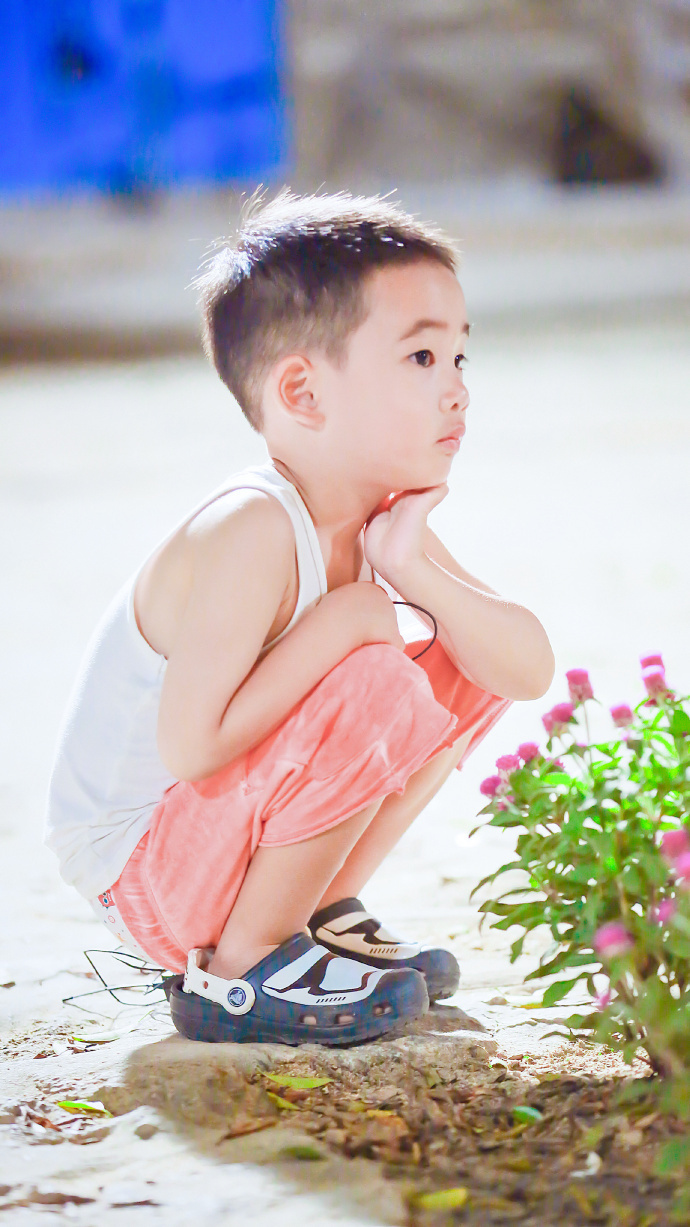 jasper过石桥,实力诠释什么叫进退两难,软萌又好笑