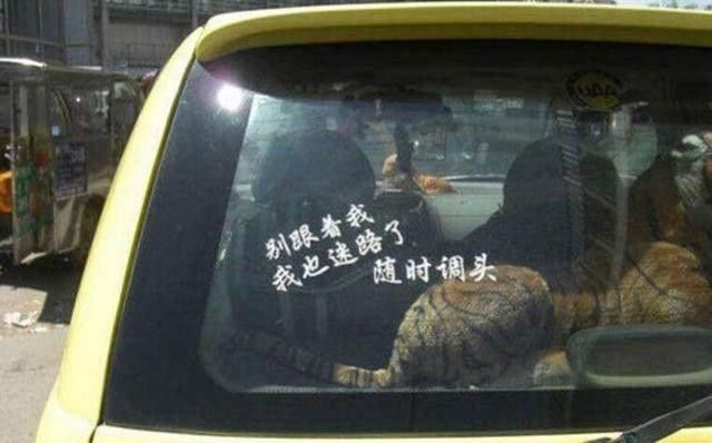 女司机车上标语太吓人了，方圆5米没有车敢靠近！