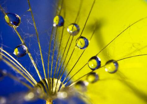 2018网络搞笑段子,幽默起床段子哄女生开心