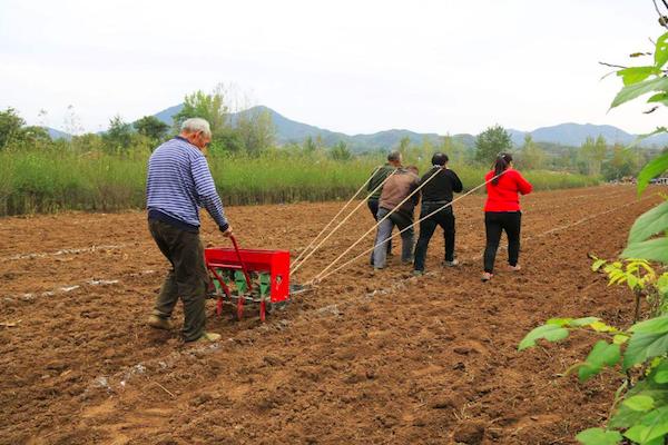 农村秋播一直阴雨连天,要怎么才能种上粮食