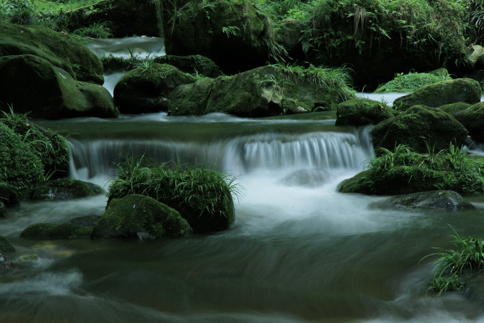 张家界金鞭溪,水美谷幽,风景如画_新浪看点