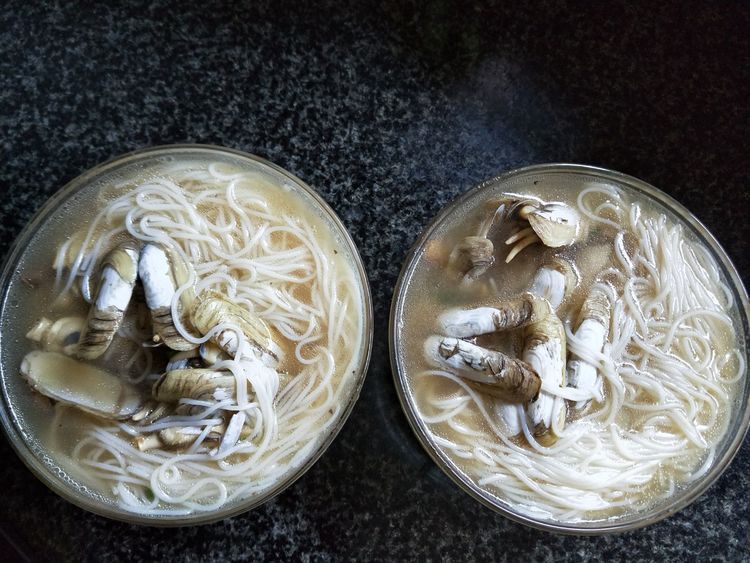 做一碗超级鲜美的蛏子米粉