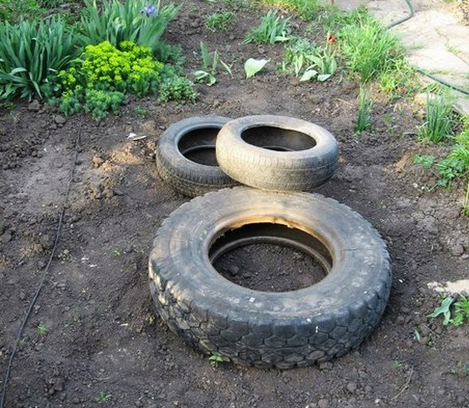 废旧轮胎埋藏在地下到底为什么?过没几天一看太羡慕了!