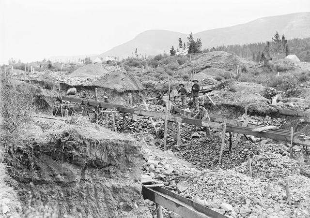 老照片这些人想一夜暴富大多数失望而归