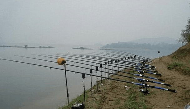 秋季海竿钓鲫鱼抛投技巧与钓位选择技巧