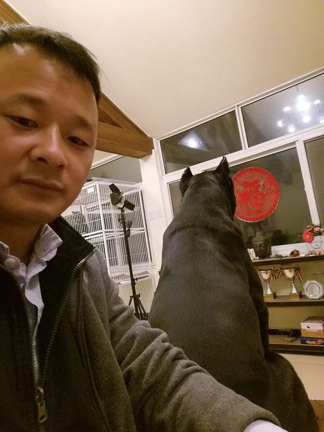 这是一只真把自己当“人”的狗