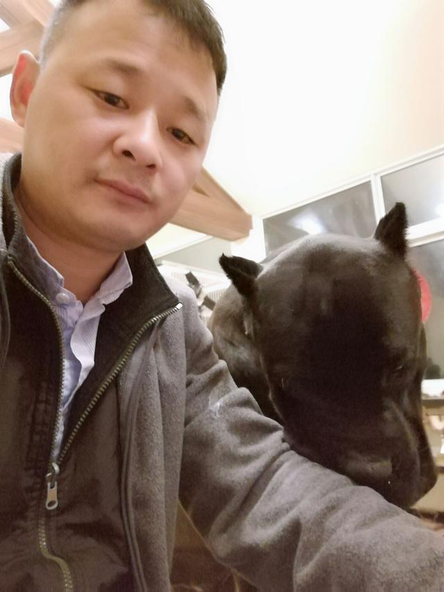 这是一只真把自己当“人”的狗