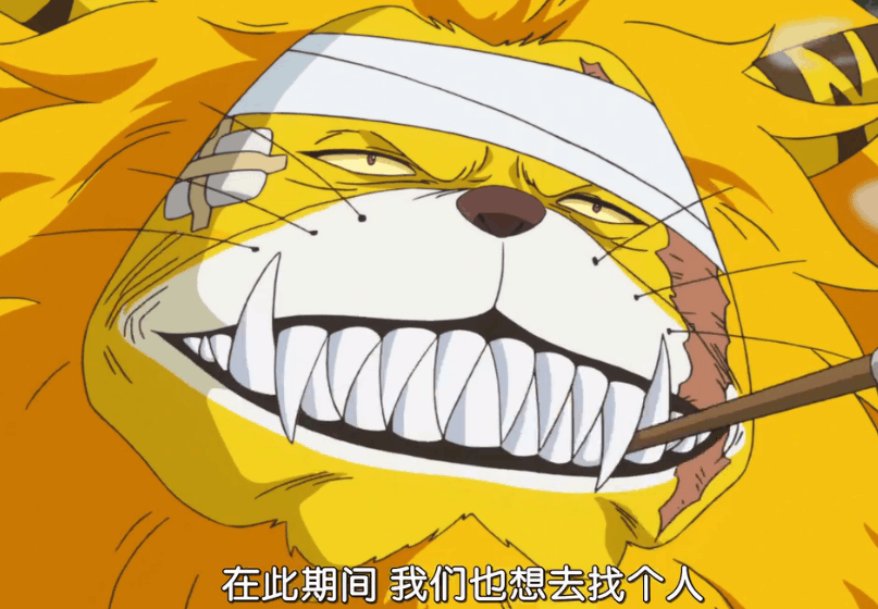 当路飞与桃之助联盟之后,猫蝮蛇掌柜说要去找马尔科,也就是说