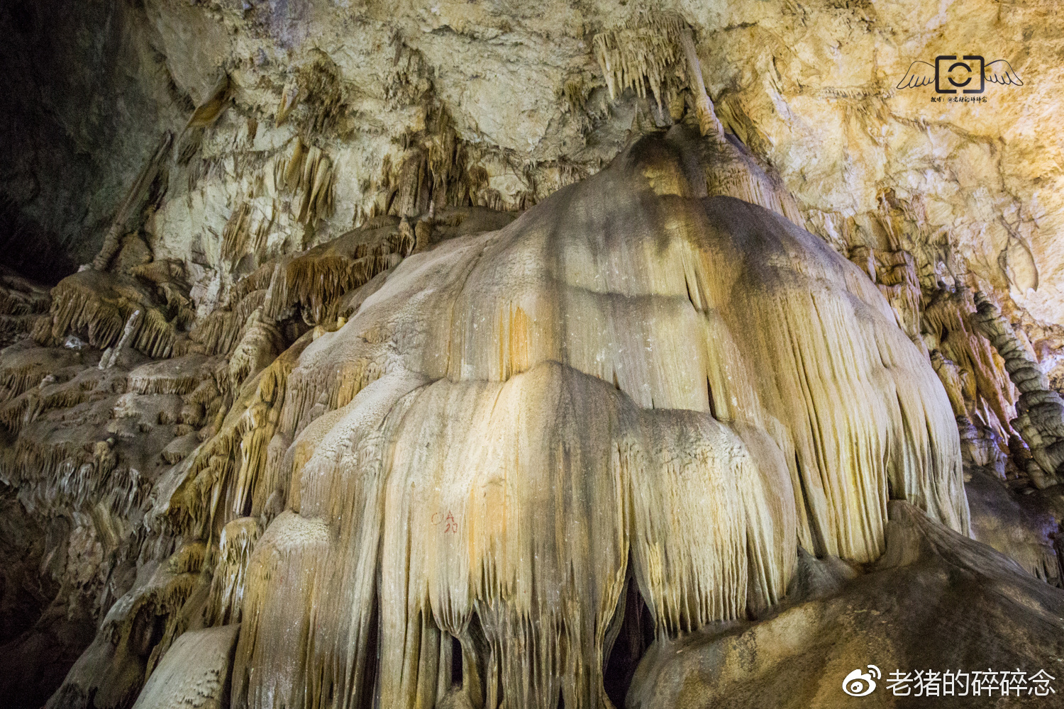 洞府幻境,探访四大名洞之石花洞。|石花洞|洞穴|洞府_新浪新闻