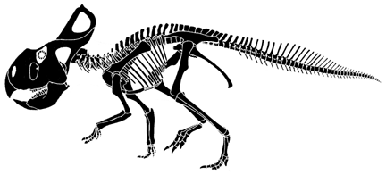 蜥脚类恐龙是如何进化出如此长的脖子的呢