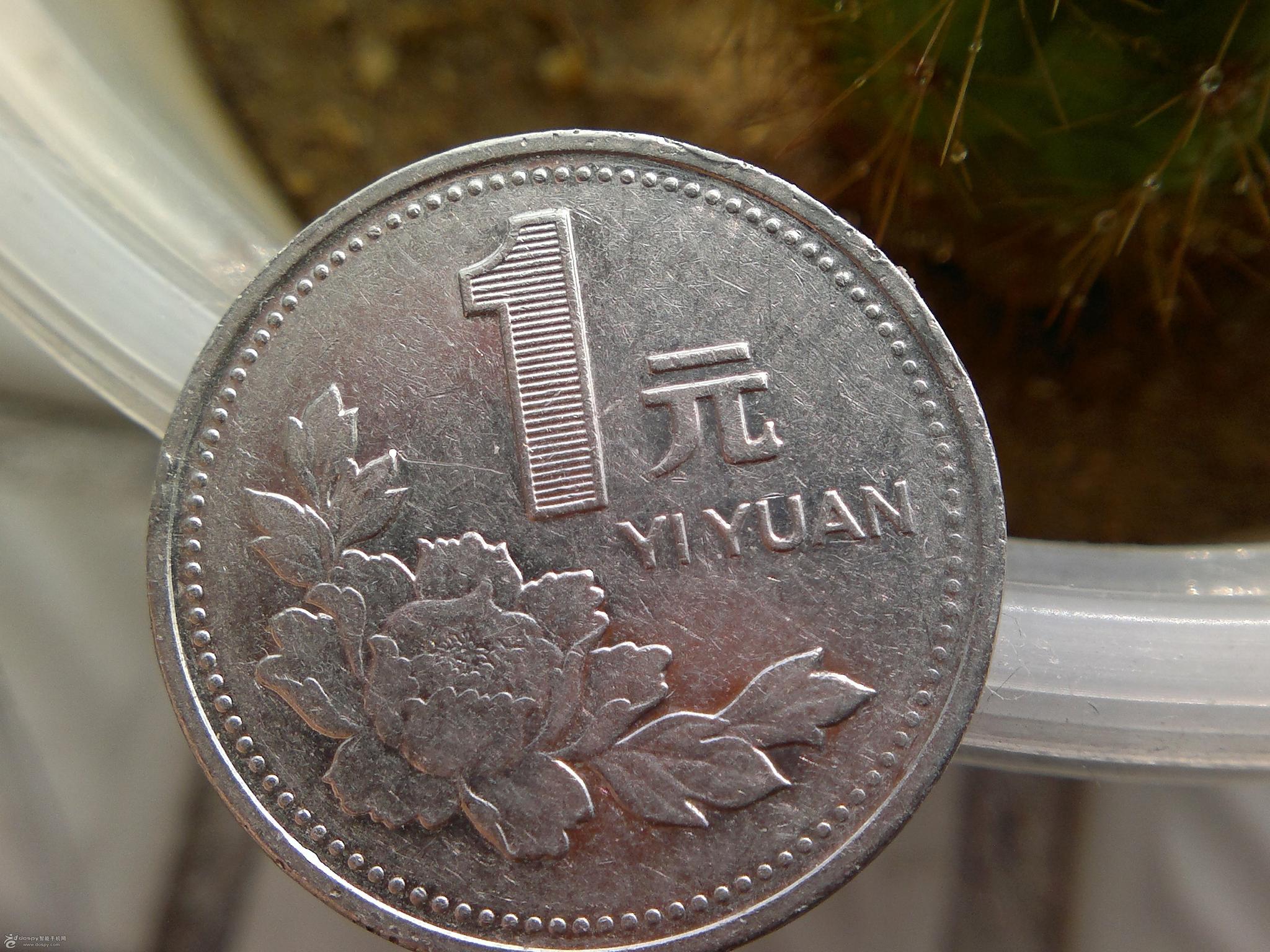 这样的牡丹硬币这个年份的价值早就超过1000元了