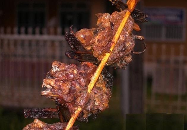 先来看看烤蝙蝠.这是烤之前的样子.