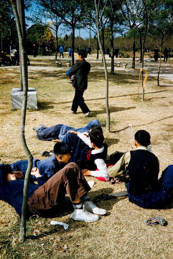 50年代上海人民公园里春游的人们留着记忆深处的美好回忆