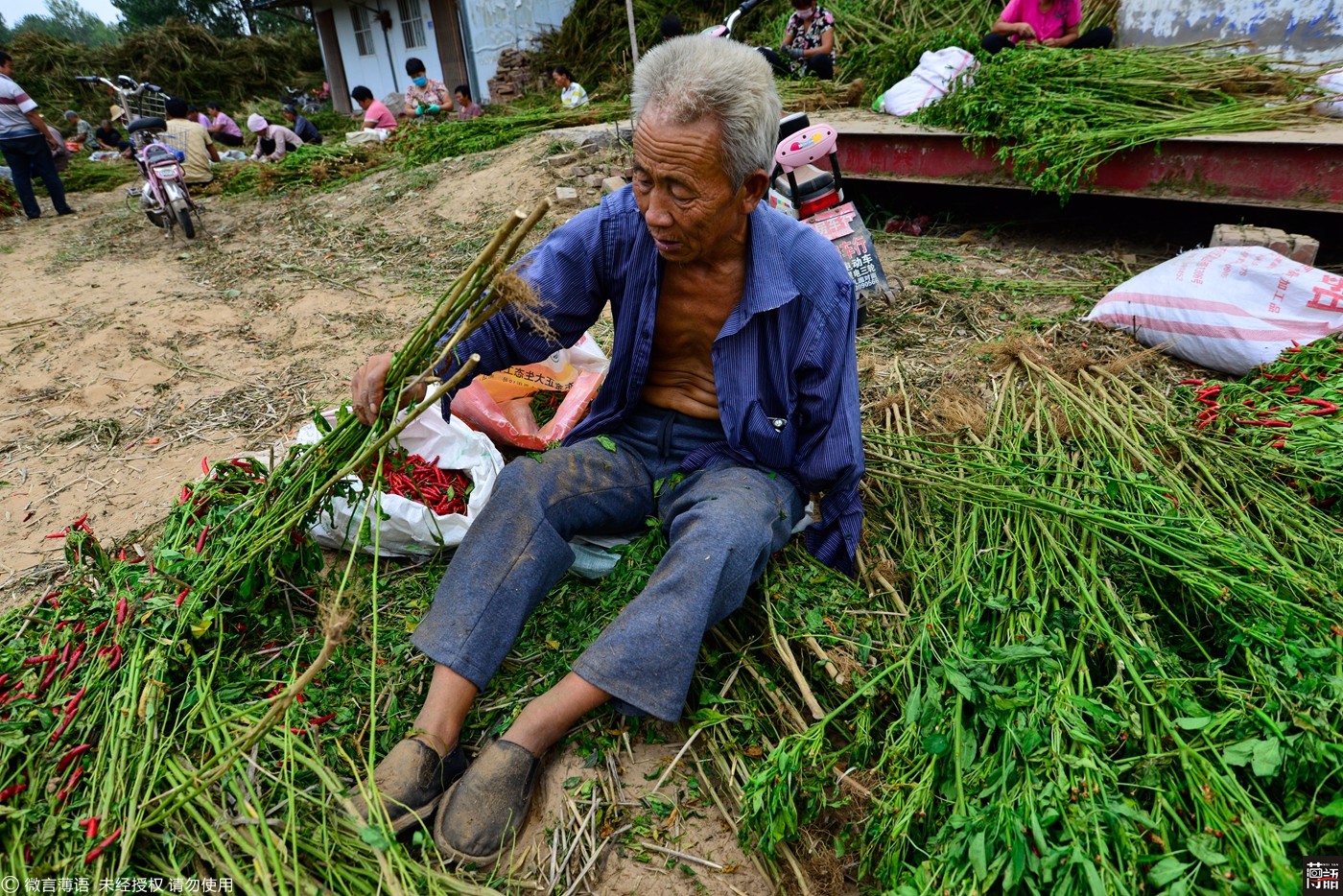 刘世多老人从早上七点开始干活,一直到要到晚上天快黑才结束,因为离家