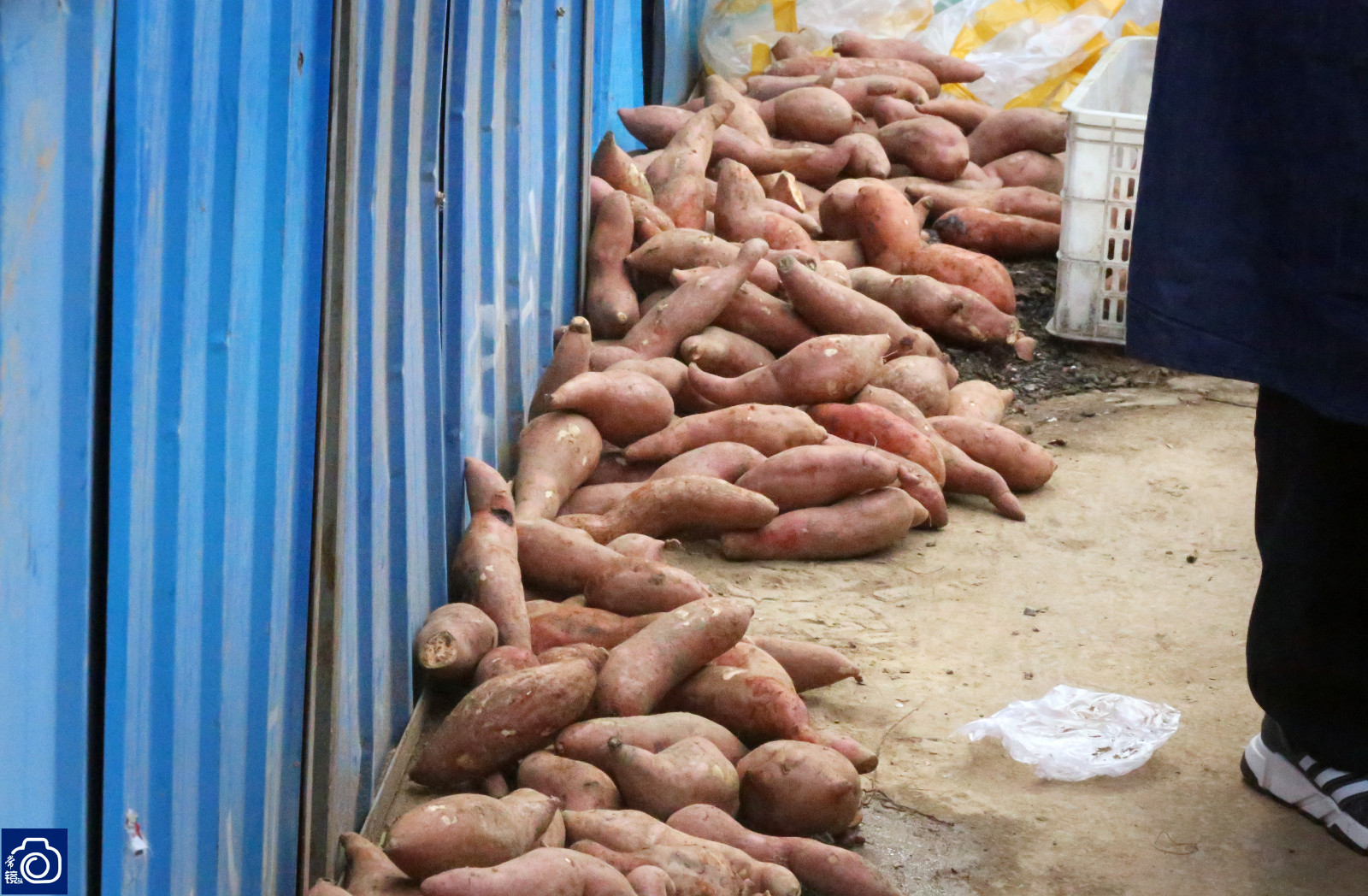 由于每天的销量很大,摊位后的地面上摆满了红薯.