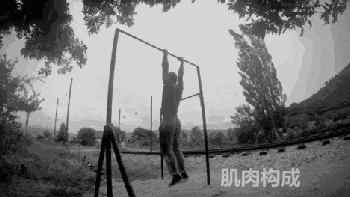 尝试单杠上倒立，结果。。。