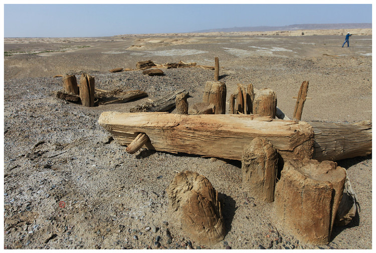 太阳墓,孔雀河古河道北岸已有3800年之久