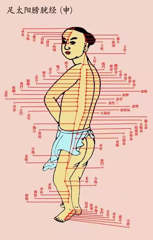 膀胱经|疾病|经络_新浪新闻