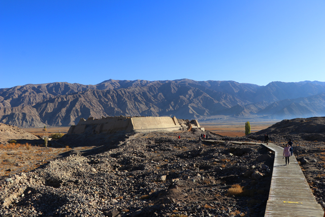 有颜值更有内涵！丝绸之路迎来了一位神秘来客