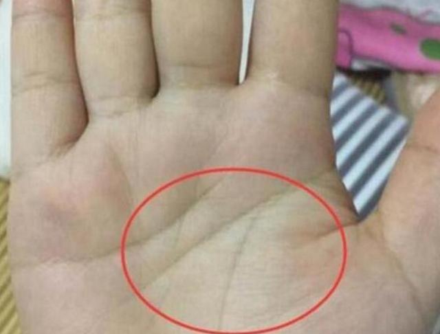 手掌"金房子"的人,迟早发千万财