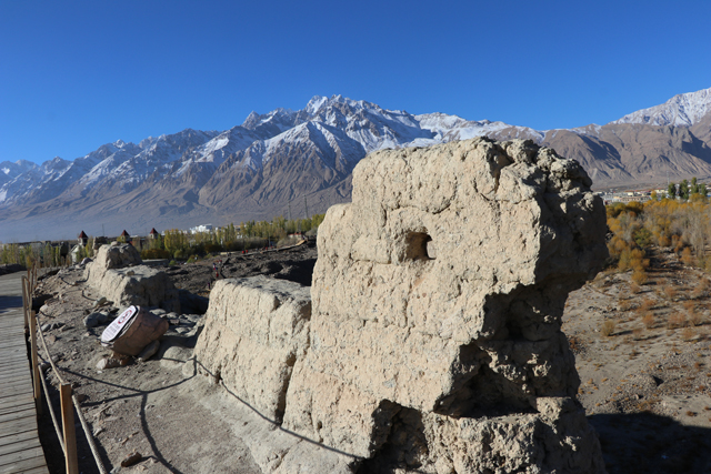 有颜值更有内涵！丝绸之路迎来了一位神秘来客