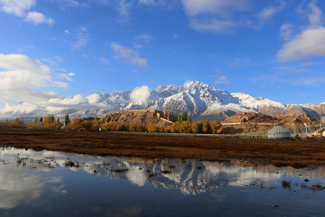 有颜值更有内涵！丝绸之路迎来了一位神秘来客