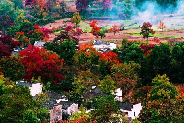 它与四川九寨沟,新疆喀那斯和北京香山并列为中国最美的四大秋色观赏