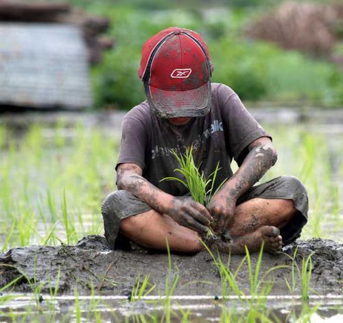 13岁偷渡到香港 住贫民窟 做过洗剪吹 如今娱乐