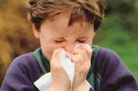 小红姐产房故事的微博