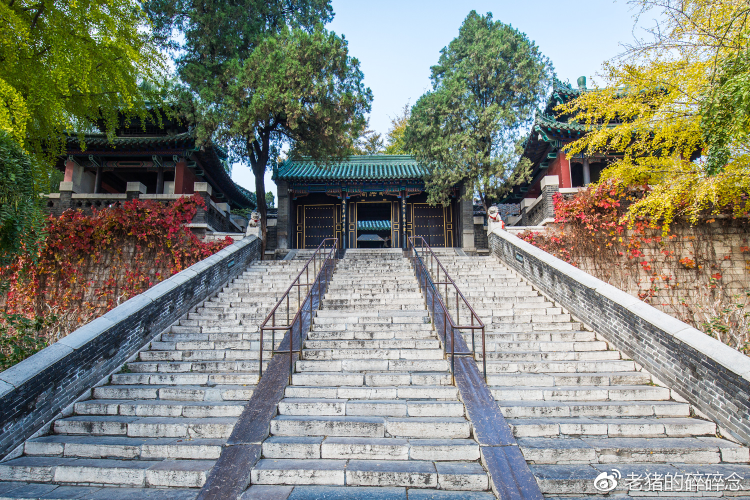 大明湖|济南|李清照_新浪新闻