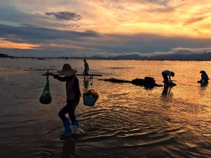 落日余晖下的渔民_新浪看点