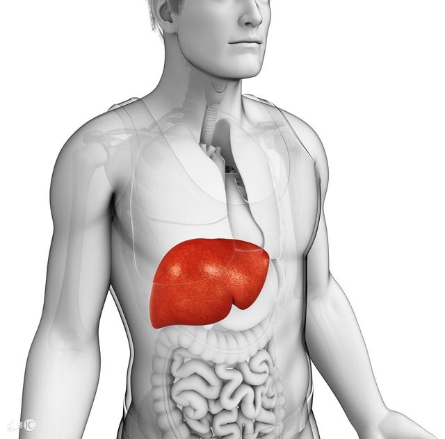 为何肝癌一发现就是晚期?如果身体有这几种症状,那就要小心了