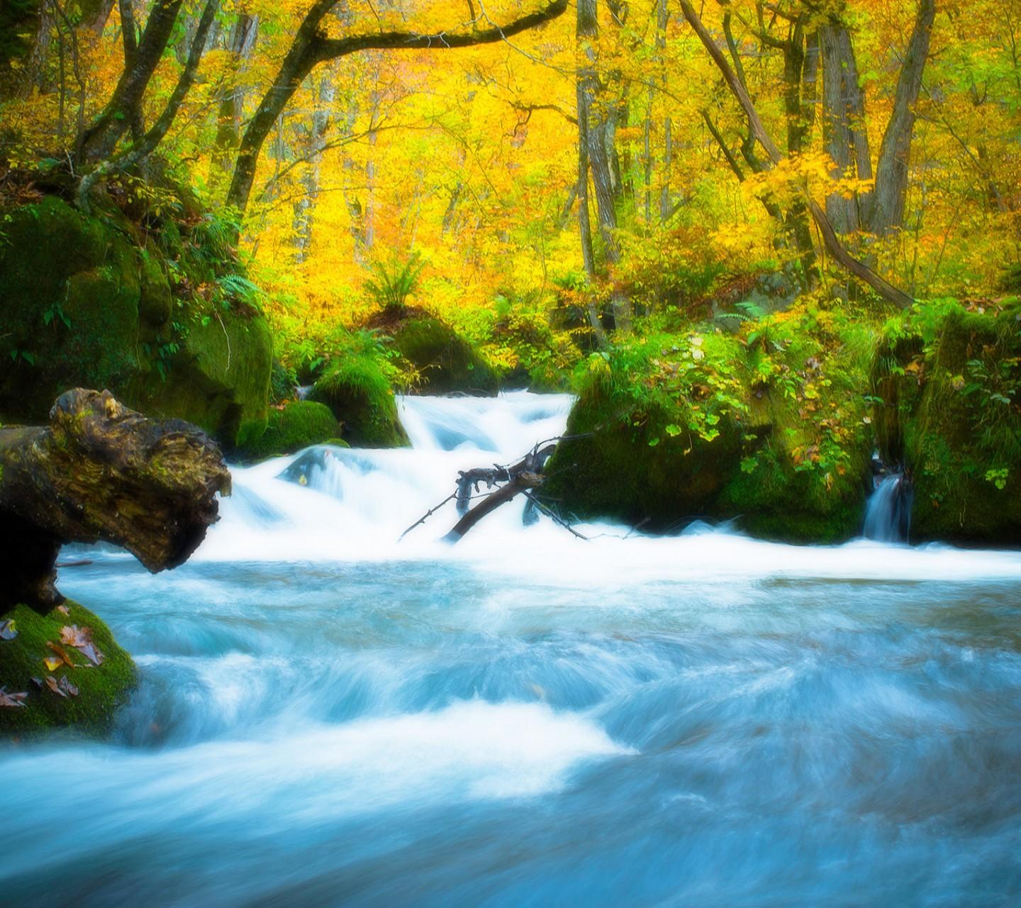 美图欣赏——秋水伊人,风景如画