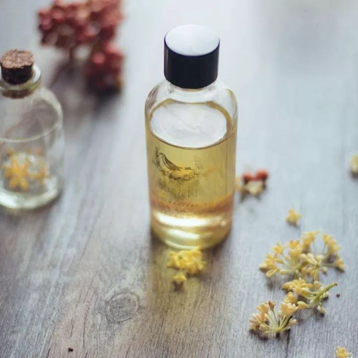 桂花香什么味道 旺鹭汤臣牧场乳茶金桂乌龙的桂花香浓不浓