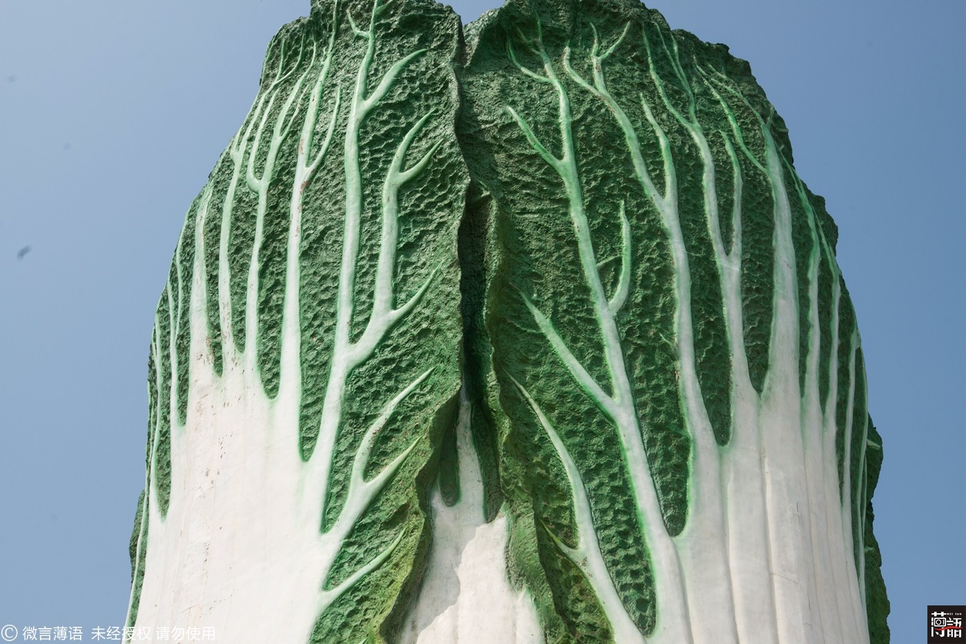 广场现巨型白菜19米高 只能看不能吃_新浪看点