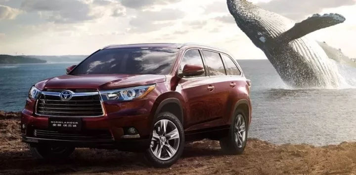 手握二十万买车，要啥有啥