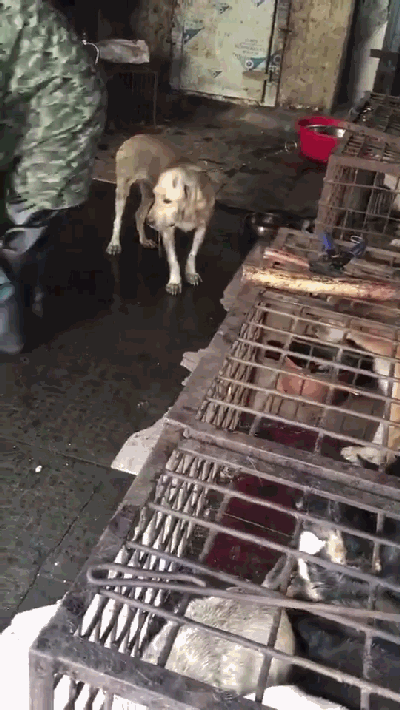 400_710竖版 竖屏gif 动态图 动图