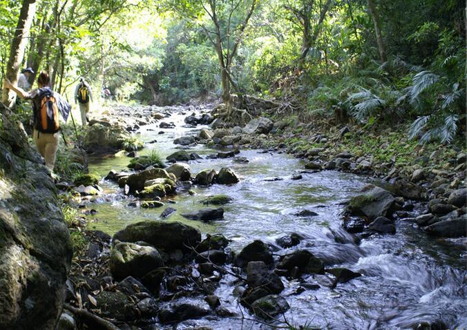 深圳最美的溪谷, 这里深山藏着一个"世外桃源"!