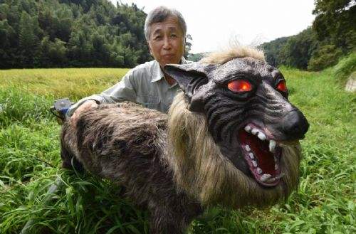 日本农村田间惊现"超级神兽",可以吓跑任何野生动物保护农田!