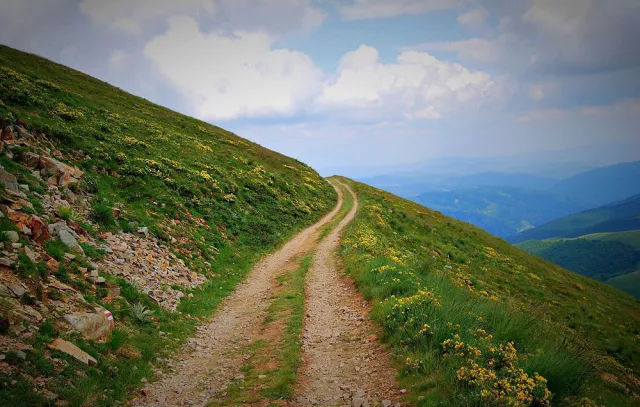 不同路况，驾车技巧攻略，全了
