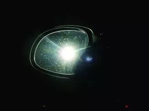 最招车主恨得五种狗，你最讨厌哪一种？