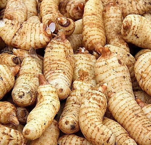 最贵的50大药材(最贵的50大药材图片)