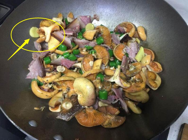 枞树菌不能和什么一起吃？ 枞树菌有毒吗
