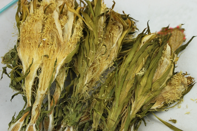 小伙种10亩霸王花晒干50元一斤卖出楼顶上都摆满了