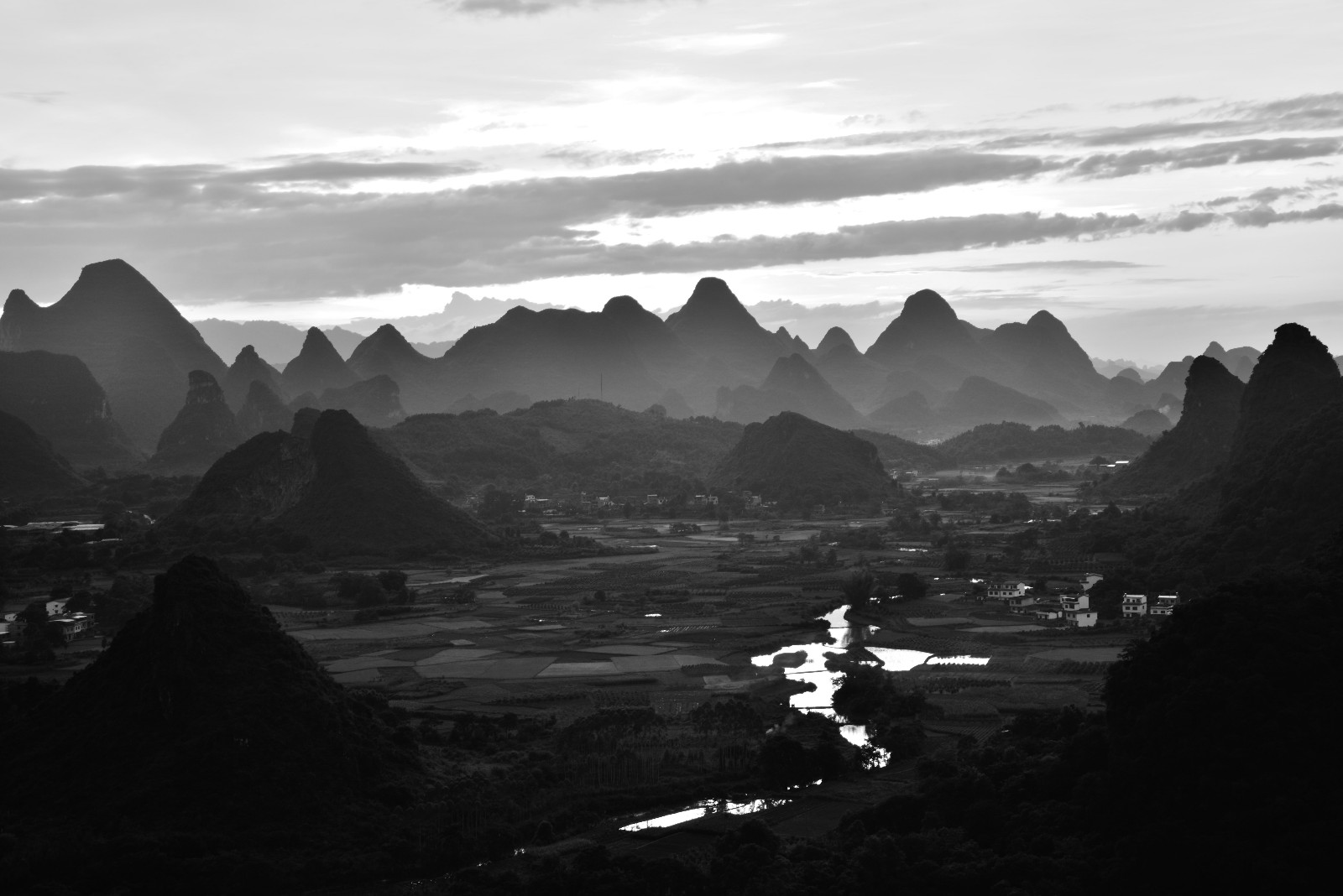 动物对世界的感知是什么样的？...