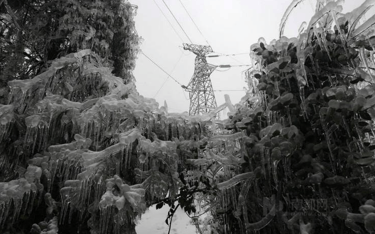 08年的那场雪灾 有多少人记得 当时你在哪儿呢?