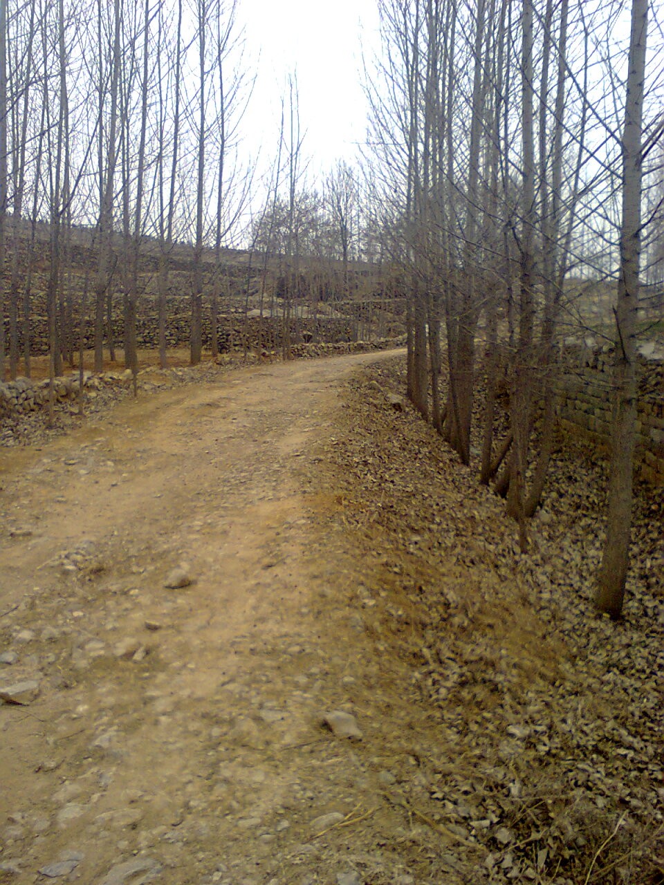 那些年老家随拍的照片分享