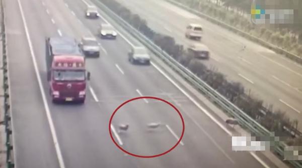 有一种事故叫二次事故，在高速路上追尾了，你会这么做吗？